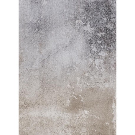 Fotomural ZOOM 225110