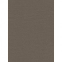 Papel Pintado ANTIGUA PINT WALLS 390977