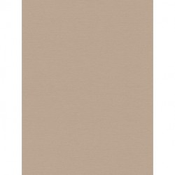 Papel Pintado ANTIGUA PINT WALLS 390983