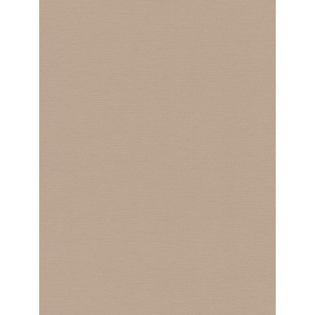 Papel Pintado ANTIGUA PINT WALLS 390983