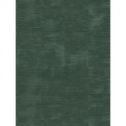 Papel de Parede DANIEL HECHTER 781294