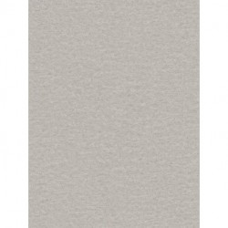 Papel de Parede DANIEL HECHTER 781522
