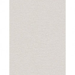 Papier peint DANIEL HECHTER 781523