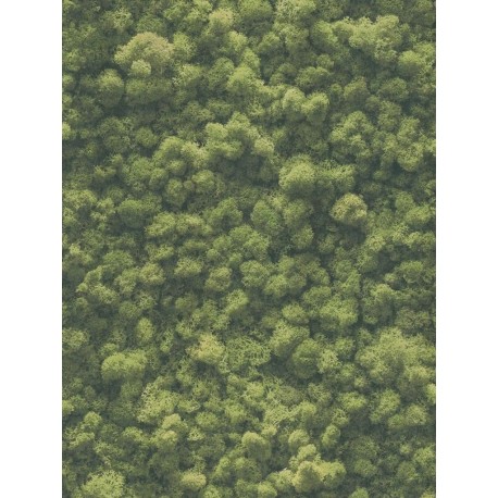 Papier peint PINT WALLS 394051