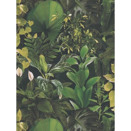 Papier peint PINT WALLS 396981