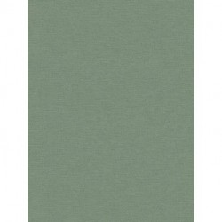Papel Pintado PINT WALLS DRAWN INTO NATURE 371787