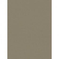 Papel de Parede PINT WALLS DRAWN INTO NATURE 390975