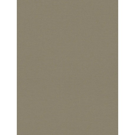 Papier peint PINT WALLS DRAWN INTO NATURE 390975