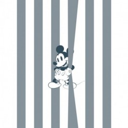Mural DISNEY by KOMAR 060-DVD2 Mickey Offbeat