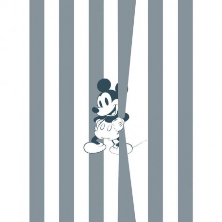 Mural DISNEY by KOMAR 060-DVD2 Mickey Offbeat