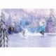 Fotomural DISNEY by KOMAR 8-499 Frozen Forest