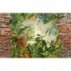 Fotomural FLORAL AND WELLNESS 30001-VD4 Jungle View Bricklane