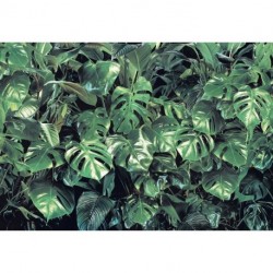 Mural FLORAL AND WELLNESS 8-333 Verdure