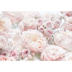Mural FLORAL AND WELLNESS 8-976 Spring Roses