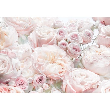 Mural FLORAL AND WELLNESS 8-976 Spring Roses