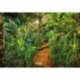 Fotomural FLORAL AND WELLNESS 8-989 Jungle Trail