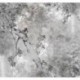 Mural FLORAL AND WELLNESS INX6-012 Dynasty