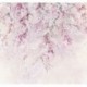 Mural FLORAL AND WELLNESS INX6-013 Kirschbluten