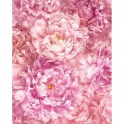 Mural FLORAL AND WELLNESS P009-VD2 Soave