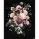 Fotomural FLORAL AND WELLNESS P415-VD2 Charming