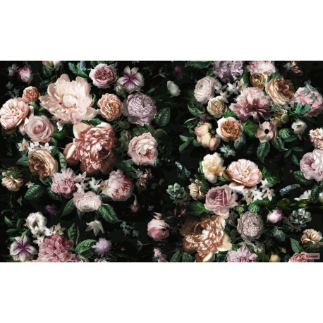 Fotomural FLORAL AND WELLNESS P6035A-VD4 Victoria Black