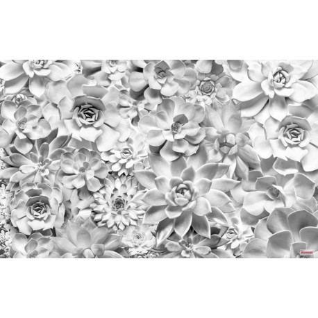 Mural FLORAL AND WELLNESS P962-VD4 Shades Black And White