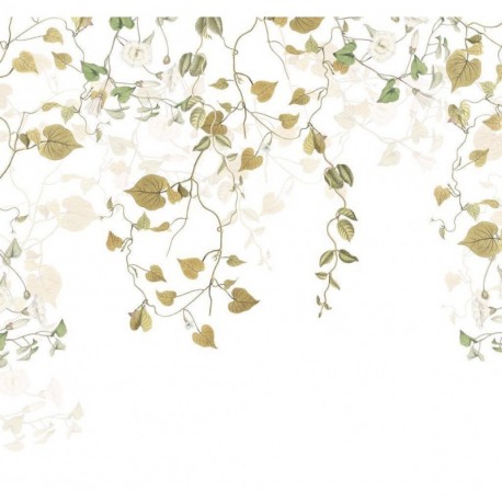 Mural FLORAL AND WELLNESS R3-025 Hedera