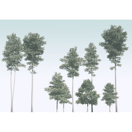 Fotomural FLORAL AND WELLNESS R4-040 Pines