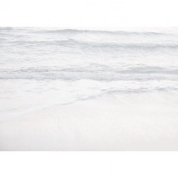 Fotomural FLORAL AND WELLNESS R4-047 Silver Beach