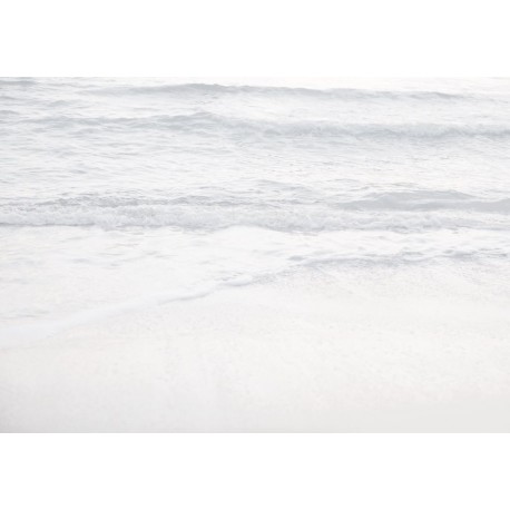 Fotomural FLORAL AND WELLNESS R4-047 Silver Beach