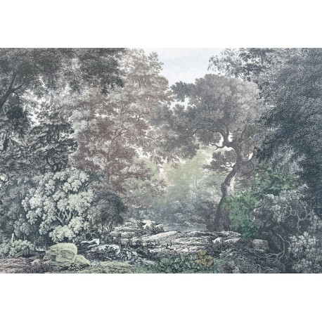 Mural FLORAL AND WELLNESS R4-060 Fairytale Forest
