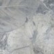Mural FLORAL AND WELLNESS RSX4-020 Flower Fossil