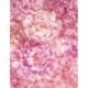Mural FLORAL AND WELLNESS X4-009 Soave