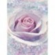 Mural FLORAL AND WELLNESS X4-020 Delicate Rose
