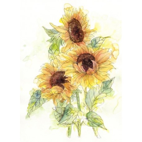 Mural FLORAL AND WELLNESS X4-1008 Girasol