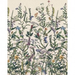 Fotomural FLORAL AND WELLNESS X4-1011 Flowering Herbs