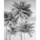 Mural FLORAL AND WELLNESS X4-1019 Cocco