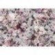 Mural FLORAL AND WELLNESS X7-1017 Lovely Blossoms