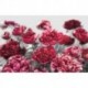 Mural FLORAL AND WELLNESS X8-002 Temptation