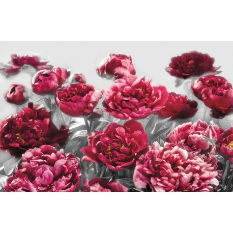 Mural FLORAL AND WELLNESS X8-002 Temptation