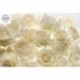 Fotomural FLORAL AND WELLNESS XXL4-007 Shalimar