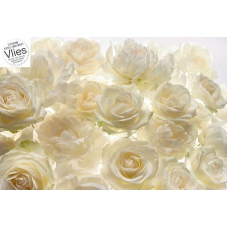 Fotomural FLORAL AND WELLNESS XXL4-007 Shalimar