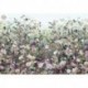 Fotomural FLORAL AND WELLNESS XXL4-035 Botanica