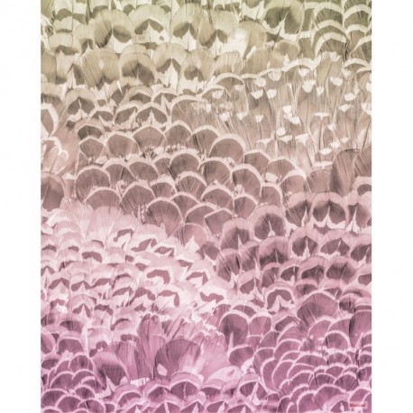 Fotomural GALLERY P028-VD2 Pale Feathers