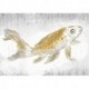 Fotomural GALLERY RSX8-049 Golden Koi
