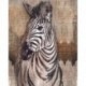 Fotomural GALLERY X4-1010 Zebra