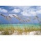 Fotomural LANDSCAPE 8-515 Ocean Breeze