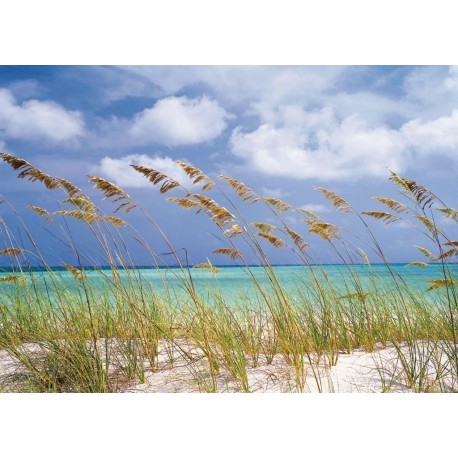 Fotomural LANDSCAPE 8-515 Ocean Breeze