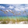 Mural LANDSCAPE 8-515 Ocean Breeze
