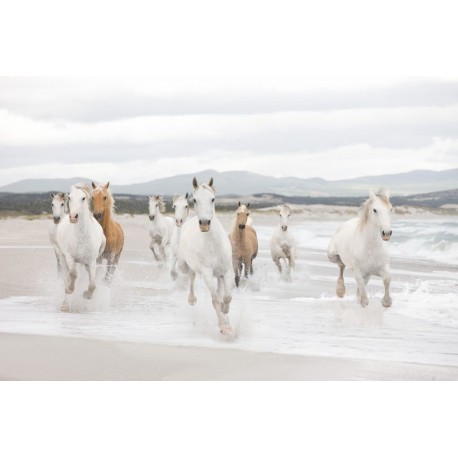 Mural LANDSCAPE 8-986 White Horses